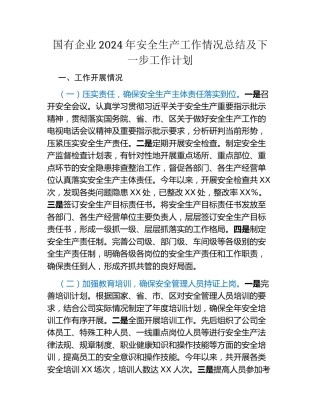 国有企业2024年安全生产工作情况总结及下一步工作计划