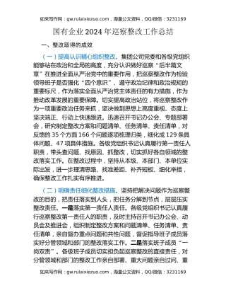 国有企业2024年巡察整改工作总结