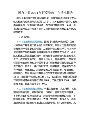 国有企业2024年巡察整改工作情况报告