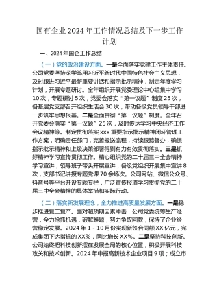 国有企业2024年工作情况总结及下一步工作计划