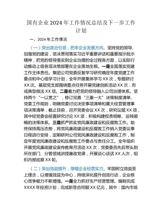 国有企业2024年工作情况总结及下一步工作计划（2）