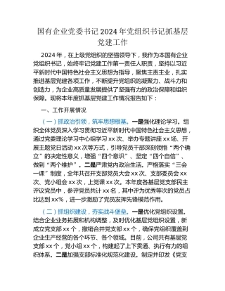 国有企业党委书记2024年党组织书记抓基层党建工作