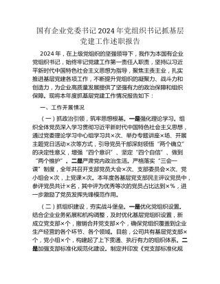 国有企业党委书记2024年党组织书记抓基层党建工作述职报告