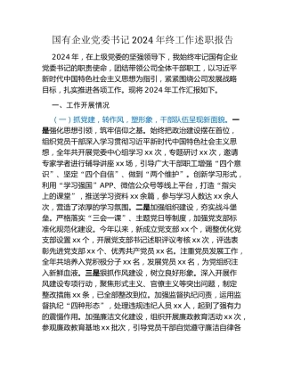 国有企业党委书记2024年终工作述职报告