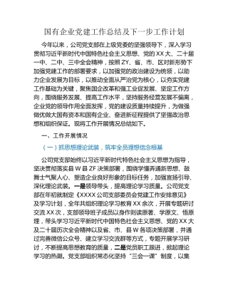 国有企业党建工作总结及下一步工作计划