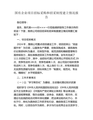 国有企业项目招标采购和招采制度建立情况报告