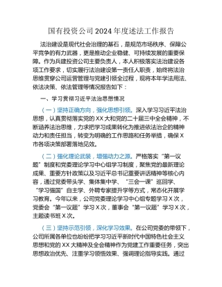 国有投资公司2024年度述法工作报告