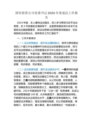 国有投资公司党委书记2024年度述法工作报告