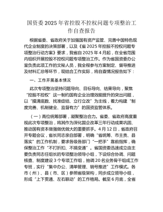 国资委2025年省控股不控权问题专项整治工作自查报告