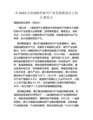 在2024全省战略性新兴产业发展推进会上的汇报发言