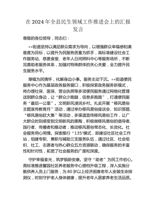 在2024年全县民生领域工作推进会上的汇报发言