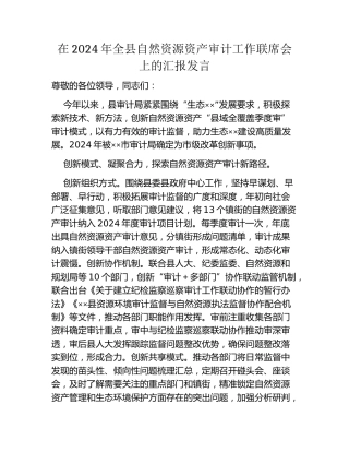 在2024年全县自然资源资产审计工作联席会上的汇报发言
