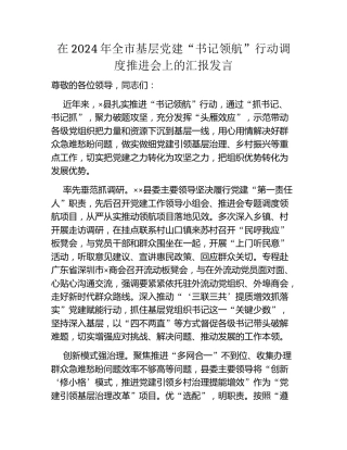 在2024年全市基层党建“书记领航”行动调度推进会上的汇报发言
