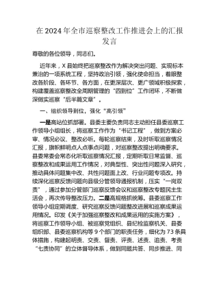 在2024年全市巡察整改工作推进会上的汇报发言