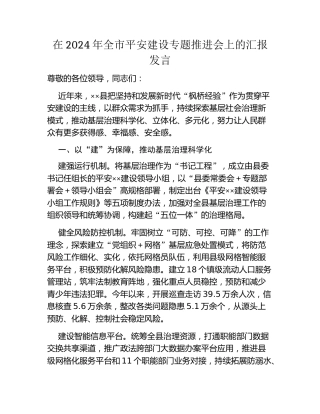 在2024年全市平安建设专题推进会上的汇报发言