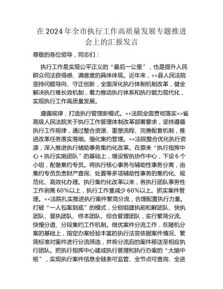 在2024年全市执行工作高质量发展专题推进会上的汇报发言