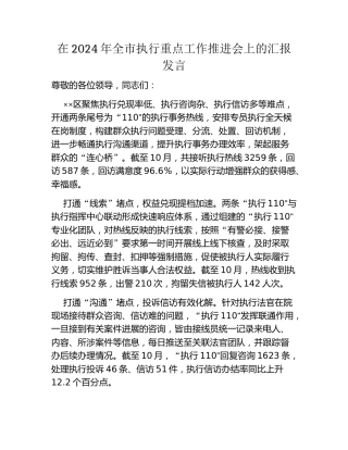 在2024年全市执行重点工作推进会上的汇报发言