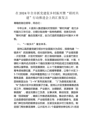 在2024年全市抓党建促乡村振兴暨联村共建行动推进会上的汇报发言