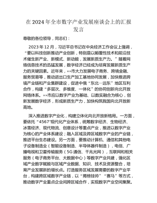 在2024年全市数字产业发展座谈会上的汇报发言