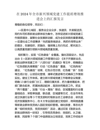 在2024年全市新兴领域党建工作提质增效推进会上的汇报发言