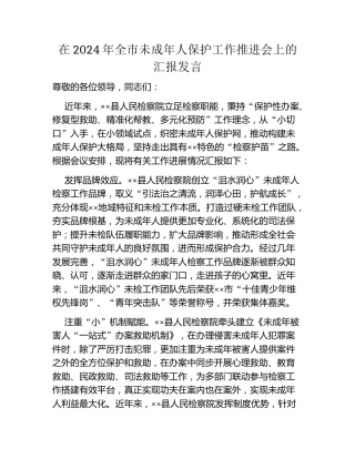 在2024年全市未成年人保护工作推进会上的汇报发言