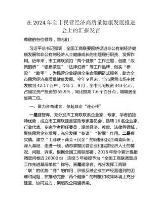 在2024年全市民营经济高质量健康发展推进会上的汇报发言