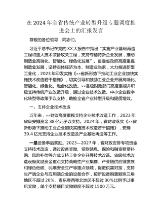 在2024年全省传统产业转型升级专题调度推进会上的汇报发言