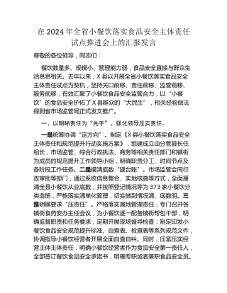 在2024年全省小餐饮落实食品安全主体责任试点推进会上的汇报发言