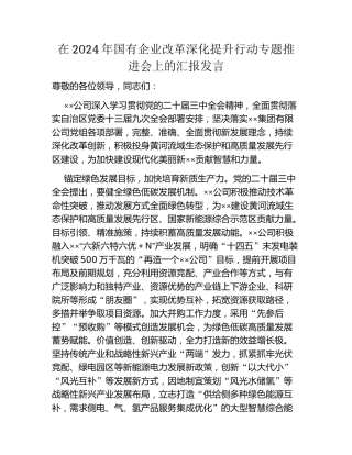 在2024年国有企业改革深化提升行动专题推进会上的汇报发言