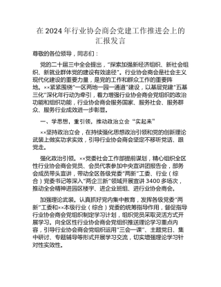在2024年行业协会商会党建工作推进会上的汇报发言