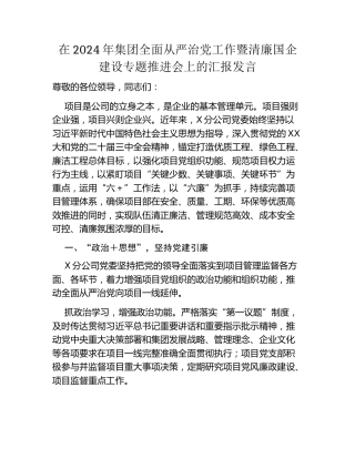 在2024年集团全面从严治党工作暨清廉国企建设专题推进会上的汇报发言