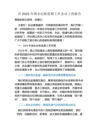 在2025年国企纪检监察工作会议上的报告