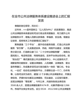 在全市公共法律服务体系建设推进会上的汇报发言