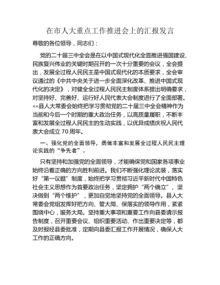 在市人大重点工作推进会上的汇报发言