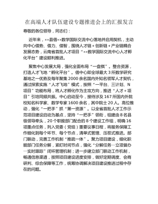 在高端人才队伍建设专题推进会上的汇报发言