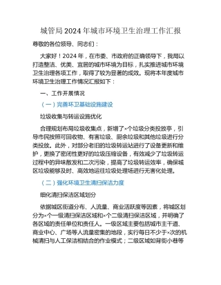 城管局 2024 年城市环境卫生治理工作汇报
