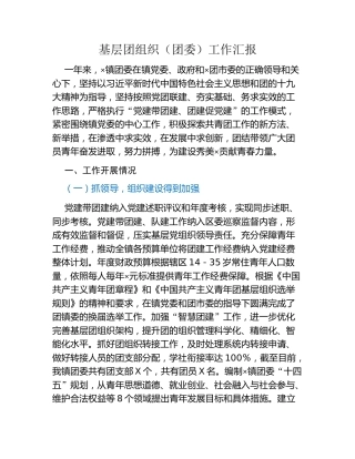 基层团组织（团委）工作汇报