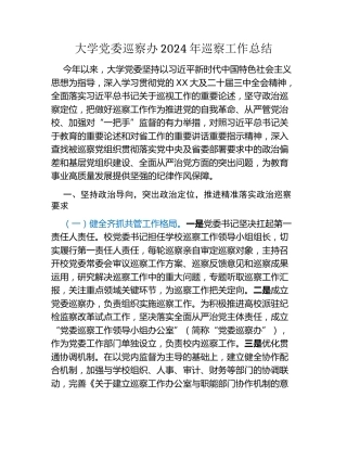 大学党委巡察办2024年巡察工作总结