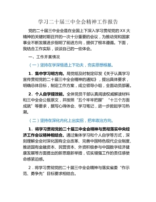 学习二十届三中全会精神工作报告