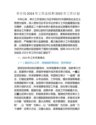 审计局2024年工作总结和2025年工作计划