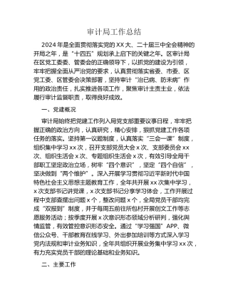 审计局工作总结