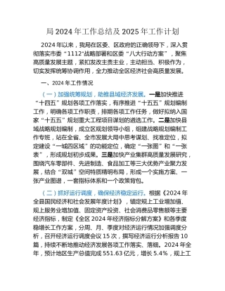 局2024年工作总结及2025年工作计划