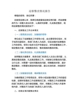 巡察整改情况报告