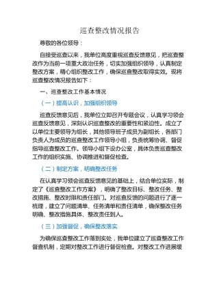 巡查整改情况报告