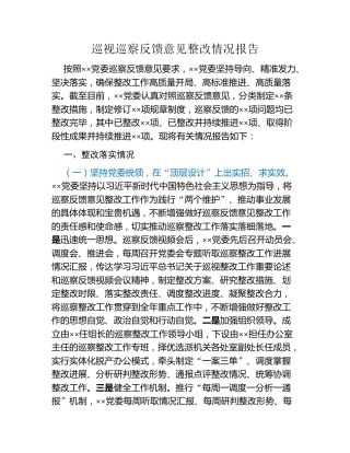 巡视巡察反馈意见整改情况报告