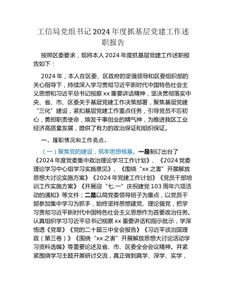 工信局党组书记2024年度抓基层党建工作述职报吿