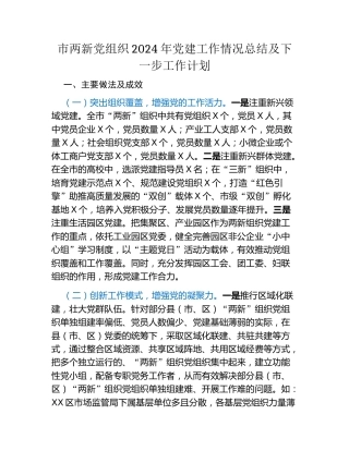市两新党组织2024年党建工作情况总结及下一步工作计划