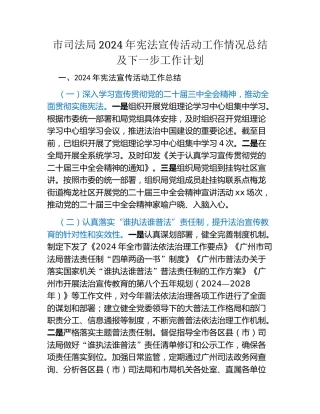 市司法局2024年宪法宣传活动工作情况总结及下一步工作计划