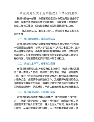 市司法局党组关于巡察整改工作情况的通报