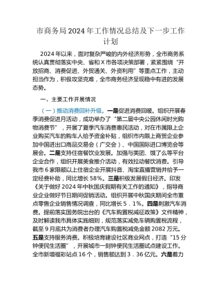 市商务局2024年工作情况总结及下一步工作计划